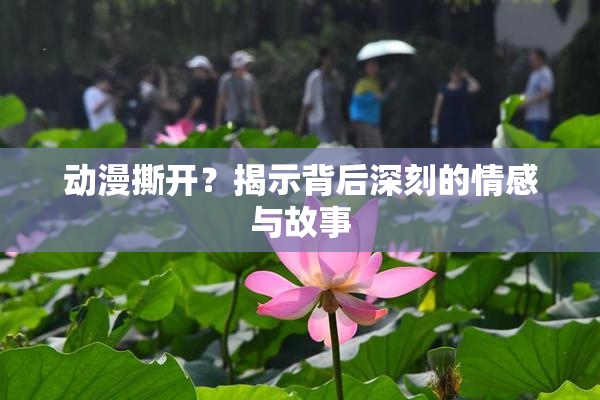 动漫撕开？揭示背后深刻的情感与故事