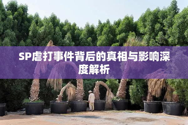 SP虐打事件背后的真相与影响深度解析