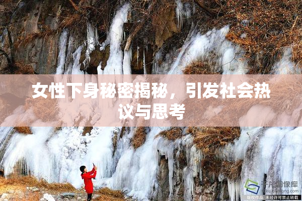 女性下身秘密揭秘，引发社会热议与思考