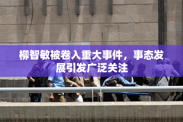 柳智敏被卷入重大事件，事态发展引发广泛关注