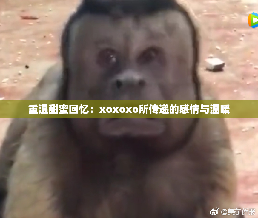 重温甜蜜回忆：xoxoxo所传递的感情与温暖