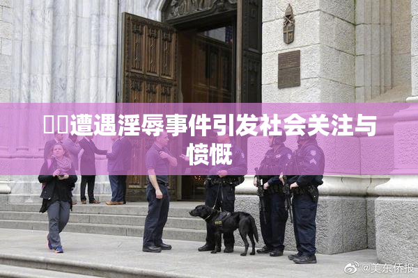 妺妺遭遇淫辱事件引发社会关注与愤慨