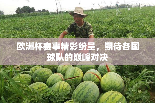欧洲杯赛事精彩纷呈，期待各国球队的巅峰对决