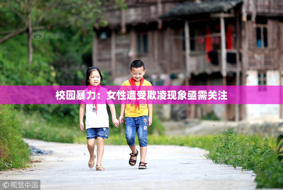 校园暴力：女性遭受欺凌现象亟需关注