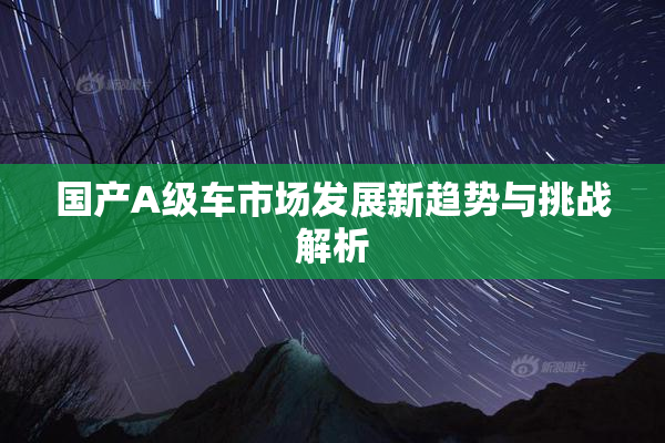 国产A级车市场发展新趋势与挑战解析