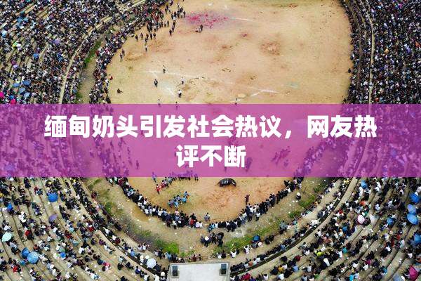 缅甸奶头引发社会热议，网友热评不断