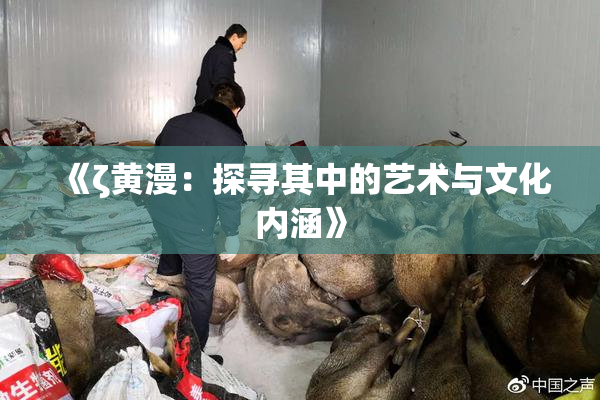 《ζ黄漫：探寻其中的艺术与文化内涵》