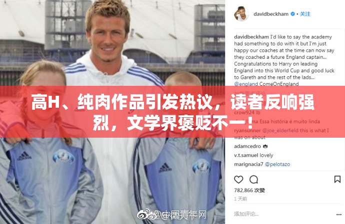 高H、纯肉作品引发热议，读者反响强烈，文学界褒贬不一！