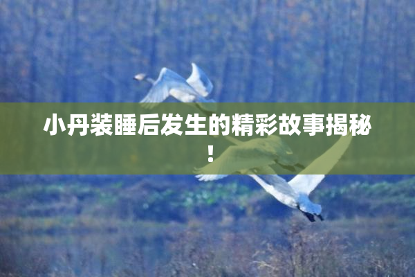 小丹装睡后发生的精彩故事揭秘！