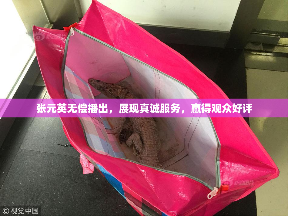 张元英无偿播出，展现真诚服务，赢得观众好评
