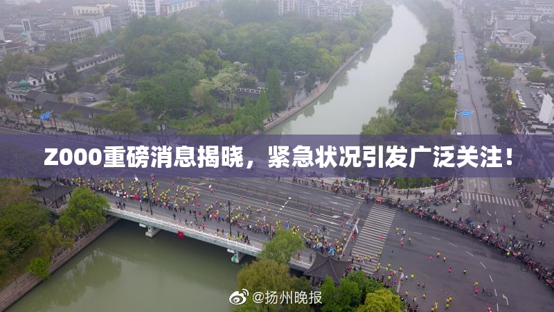 Z000重磅消息揭晓，紧急状况引发广泛关注！
