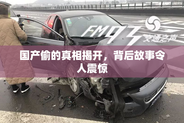 国产偷的真相揭开，背后故事令人震惊
