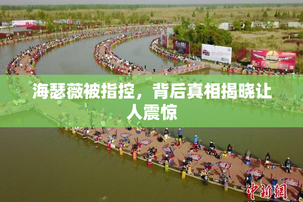 海瑟薇被指控，背后真相揭晓让人震惊