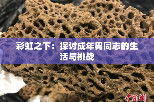 彩虹之下：探讨成年男同志的生活与挑战