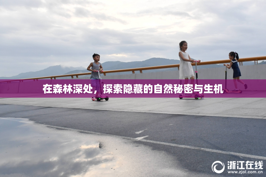 在森林深处，探索隐藏的自然秘密与生机