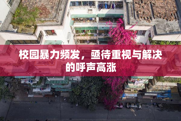 校园暴力频发，亟待重视与解决的呼声高涨