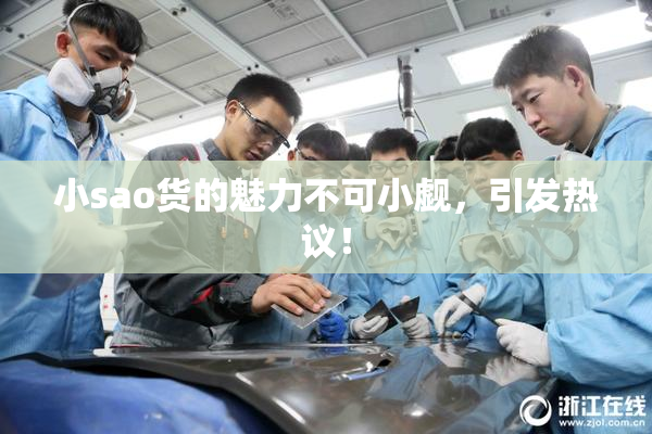 小sao货的魅力不可小觑，引发热议！