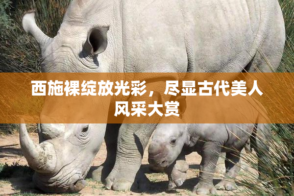 西施裸绽放光彩，尽显古代美人风采大赏