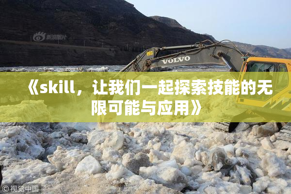 《skill，让我们一起探索技能的无限可能与应用》