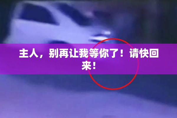 主人，别再让我等你了！请快回来！