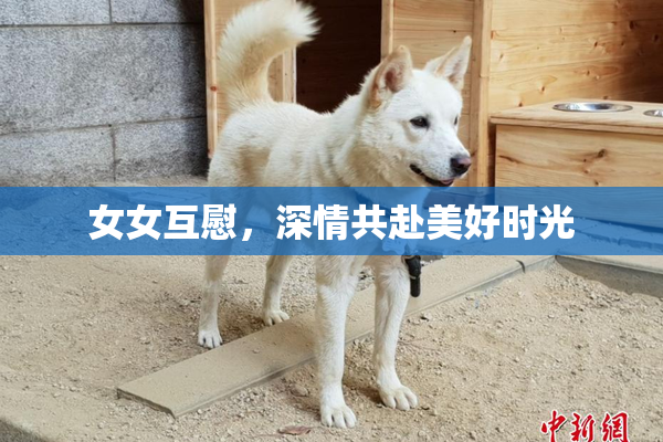 女女互慰，深情共赴美好时光