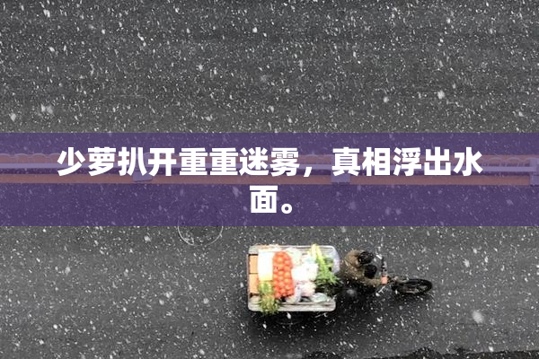 少萝扒开重重迷雾，真相浮出水面。