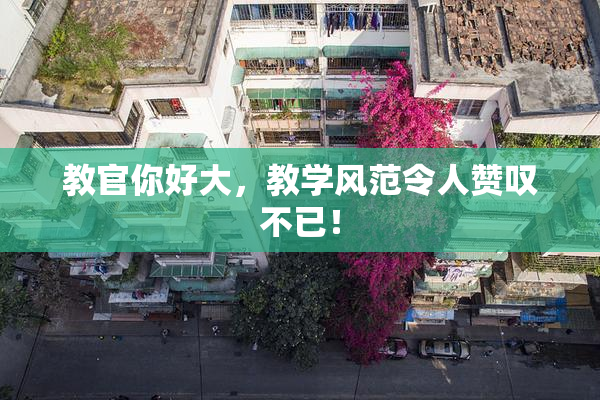 教官你好大，教学风范令人赞叹不已！