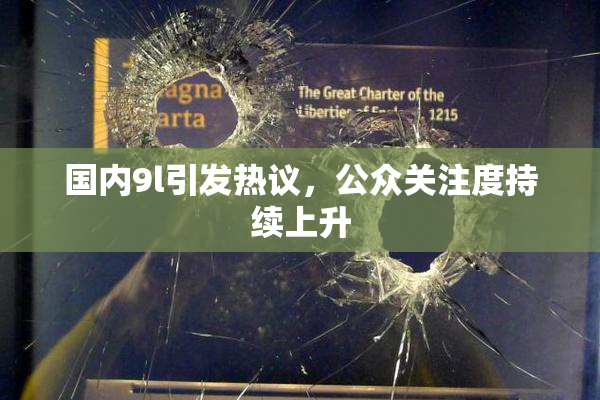 国内9l引发热议，公众关注度持续上升