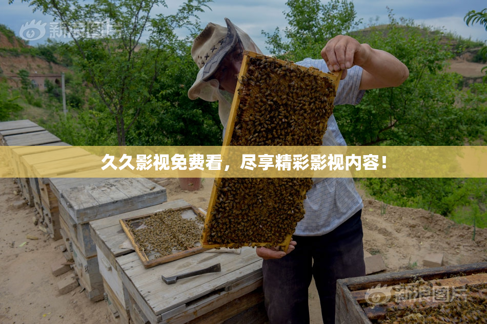 久久影视免费看，尽享精彩影视内容！