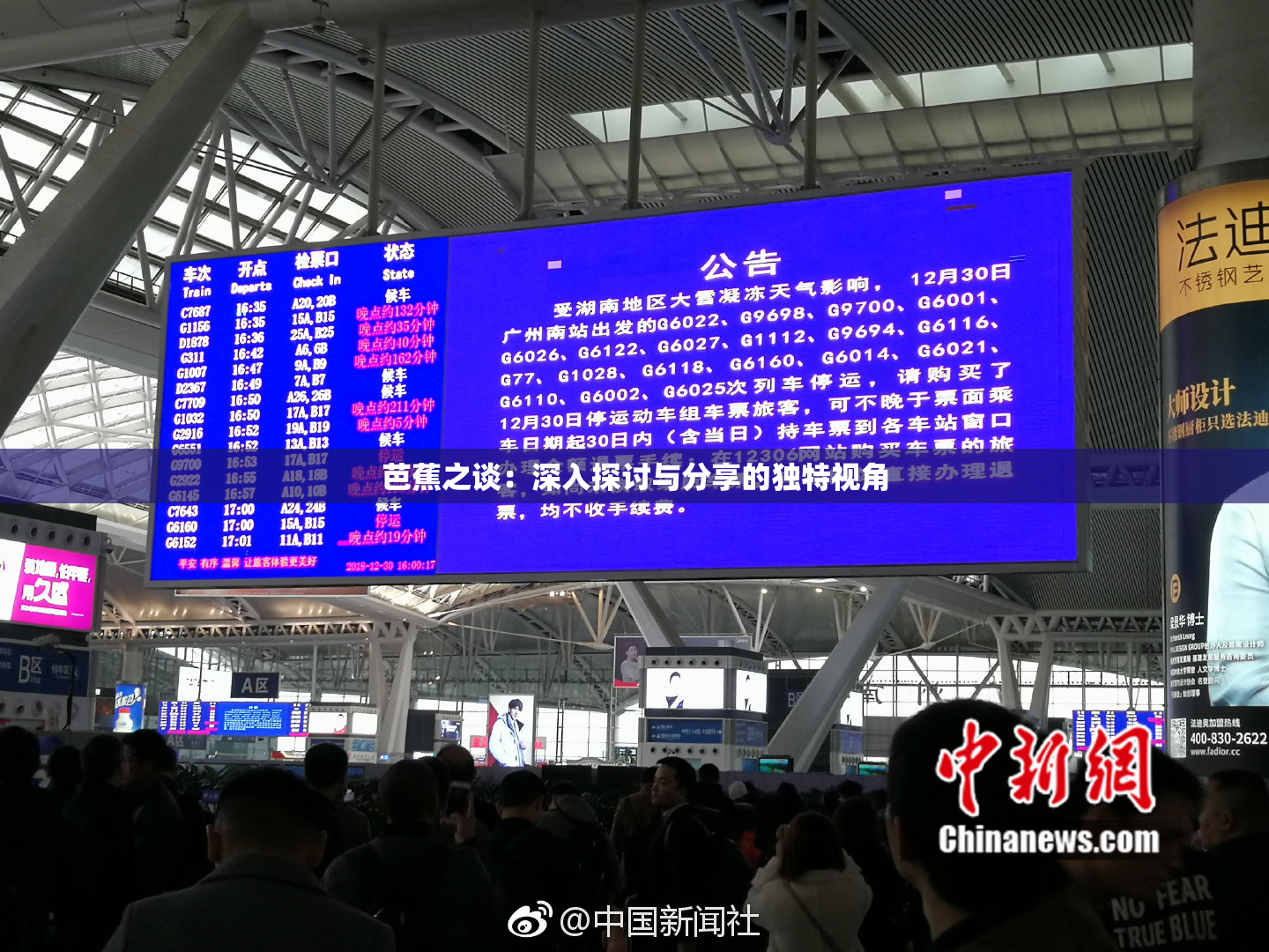 芭蕉之谈：深入探讨与分享的独特视角