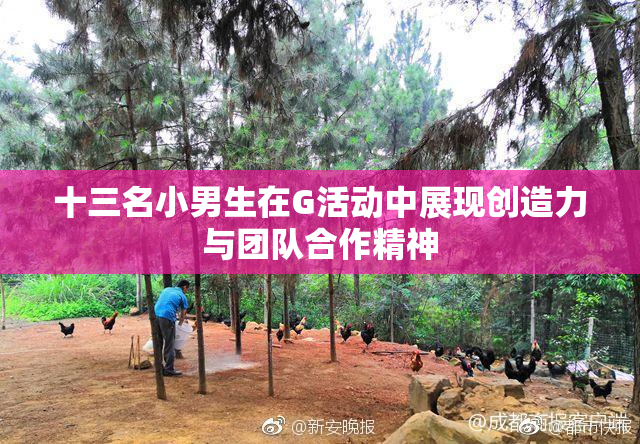 十三名小男生在G活动中展现创造力与团队合作精神