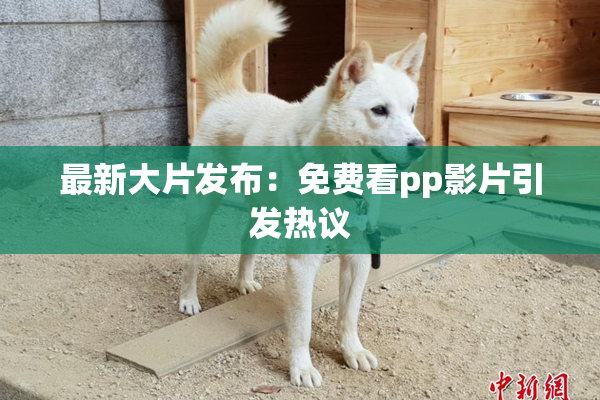 最新大片发布：免费看pp影片引发热议