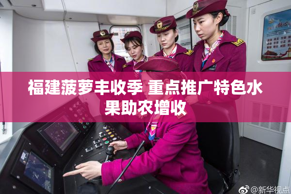 福建菠萝丰收季 重点推广特色水果助农增收
