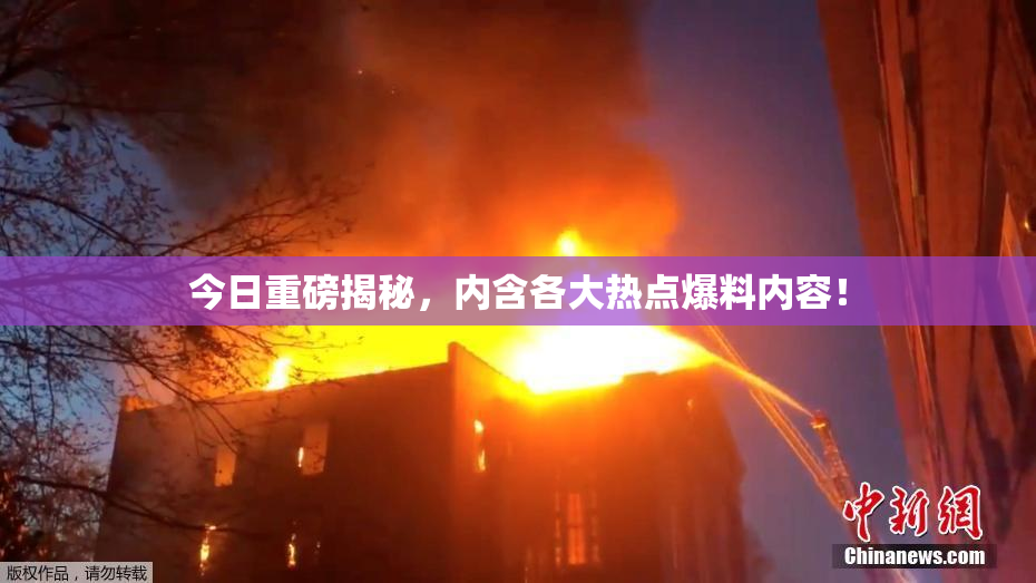 今日重磅揭秘，内含各大热点爆料内容！