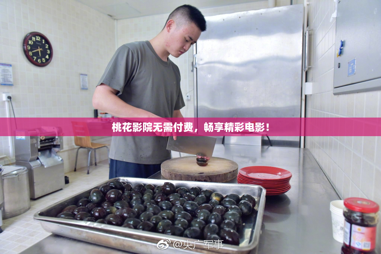 桃花影院无需付费，畅享精彩电影！