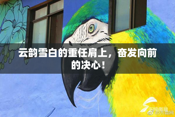 云韵雪白的重任肩上，奋发向前的决心！