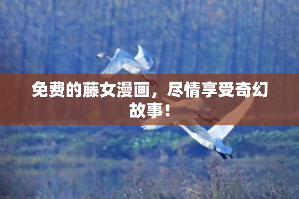 免费的藤女漫画，尽情享受奇幻故事！