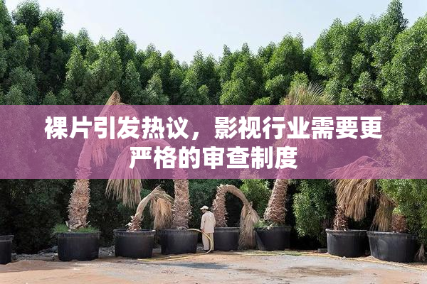 裸片引发热议，影视行业需要更严格的审查制度