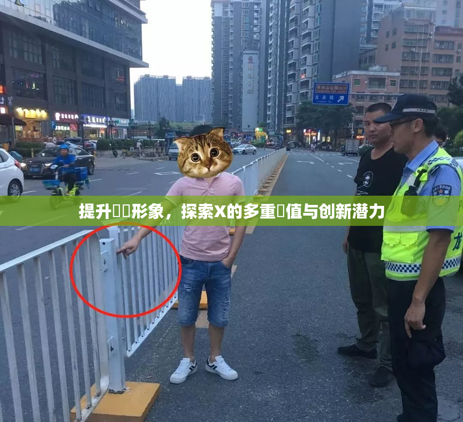 提升國產形象，探索X的多重價值与创新潜力