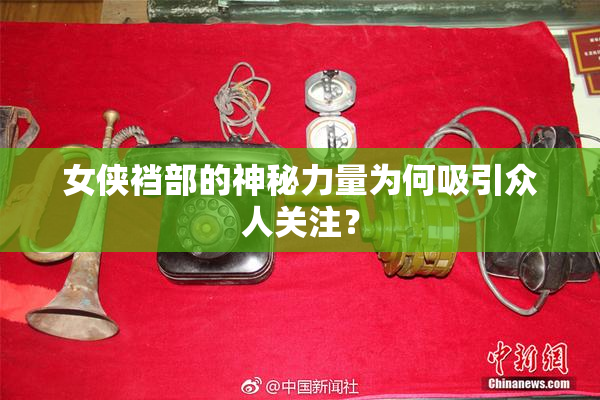 女侠裆部的神秘力量为何吸引众人关注？