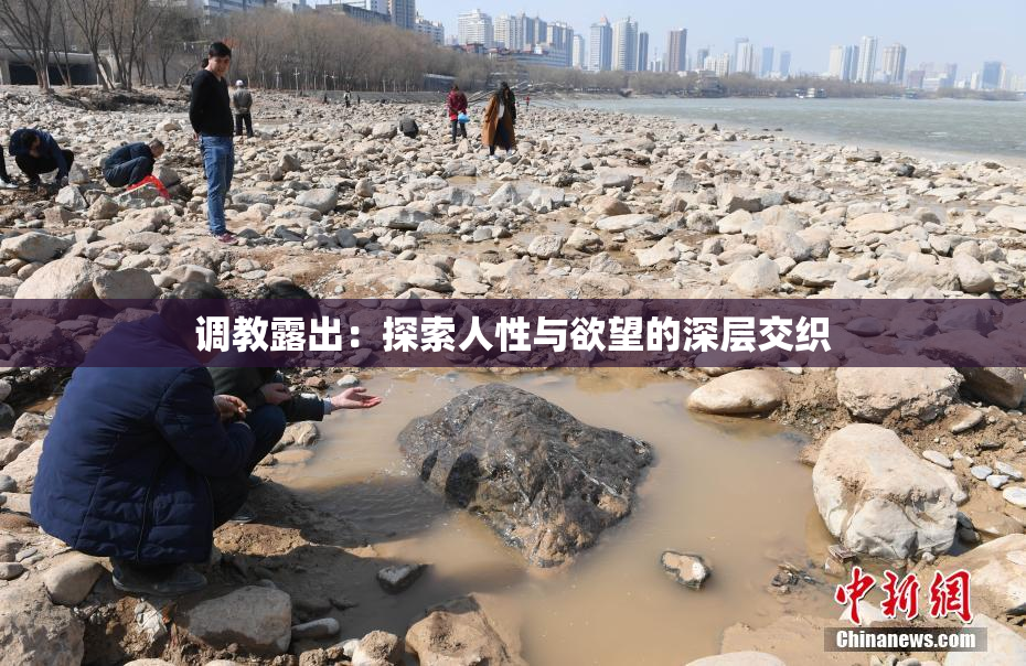 调教露出：探索人性与欲望的深层交织