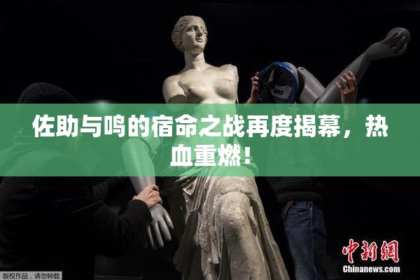佐助与鸣的宿命之战再度揭幕，热血重燃！