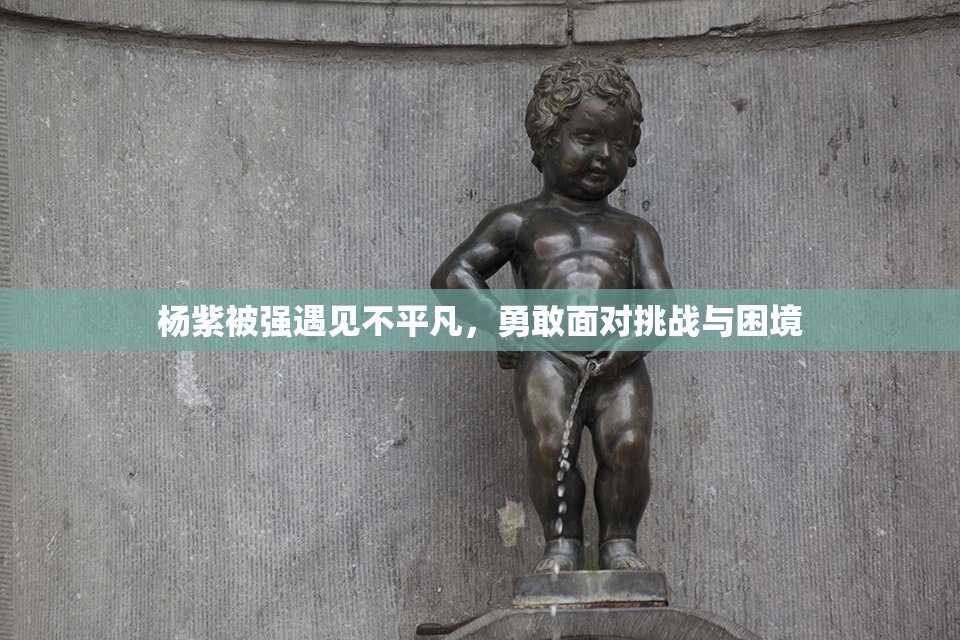 杨紫被强遇见不平凡，勇敢面对挑战与困境
