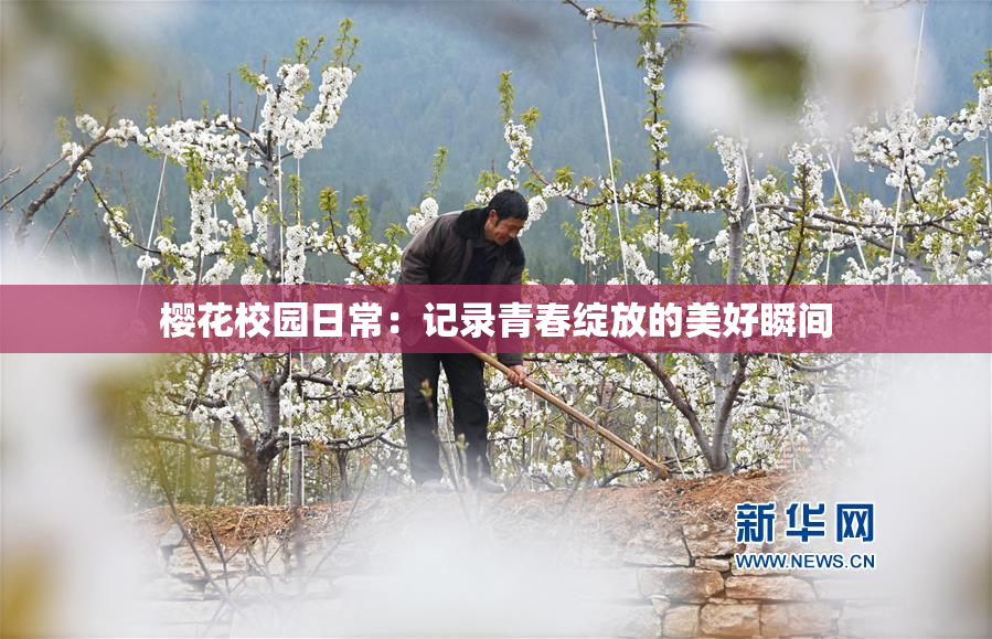 樱花校园日常：记录青春绽放的美好瞬间