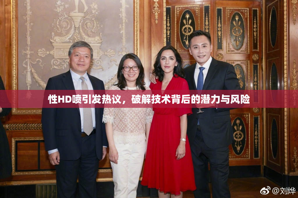 性HD喷引发热议，破解技术背后的潜力与风险