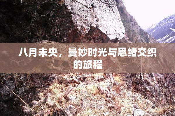 八月未央，曼妙时光与思绪交织的旅程