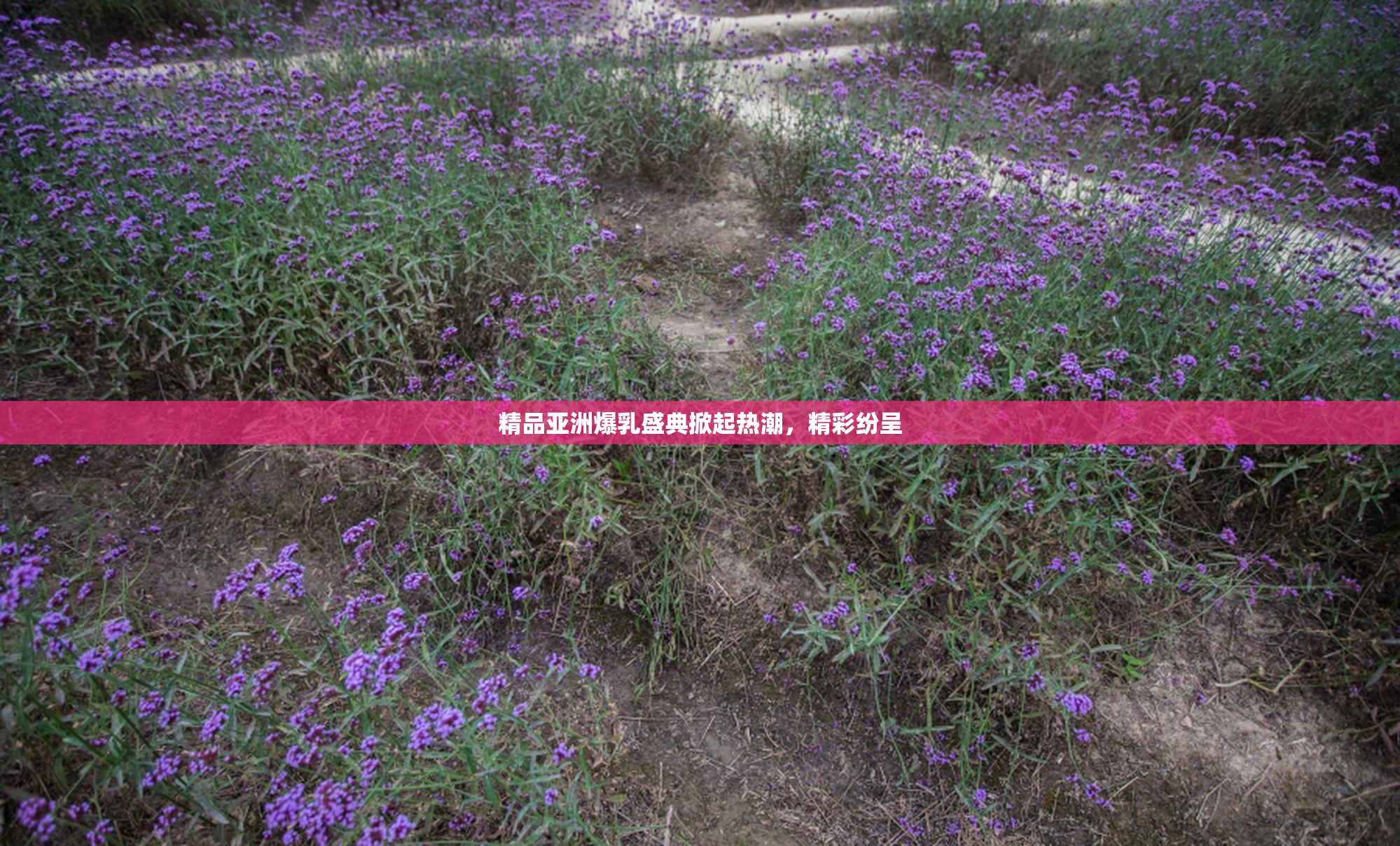 精品亚洲爆乳盛典掀起热潮，精彩纷呈