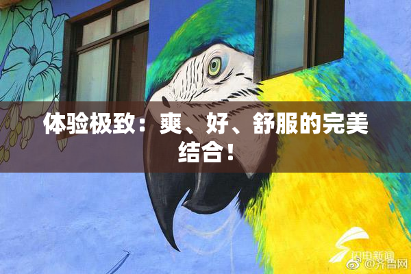体验极致：爽、好、舒服的完美结合！