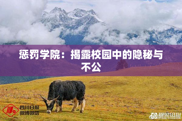 惩罚学院：揭露校园中的隐秘与不公