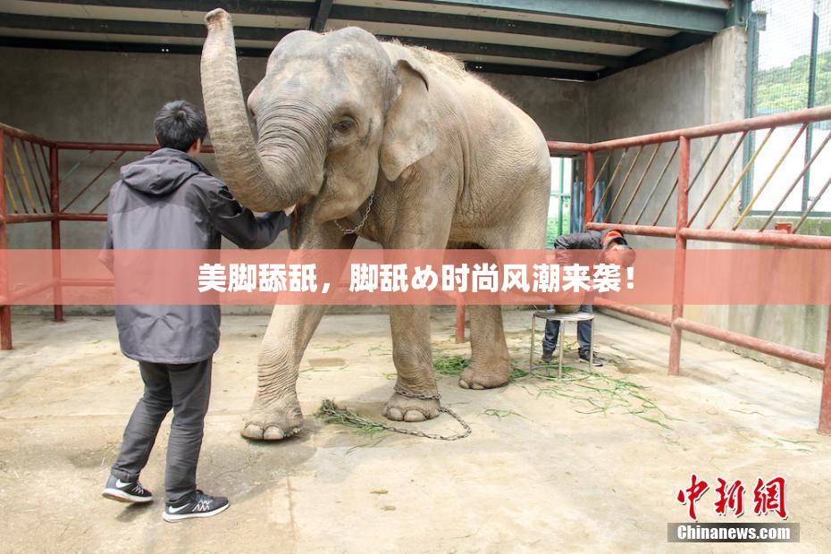 美脚舔舐，脚舐め时尚风潮来袭！